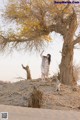 A woman standing in front of a tree in the desert.